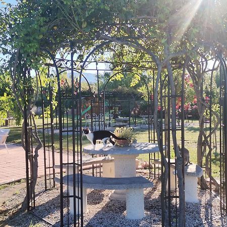 Gite En Provence "Rose" Modene Ngoại thất bức ảnh