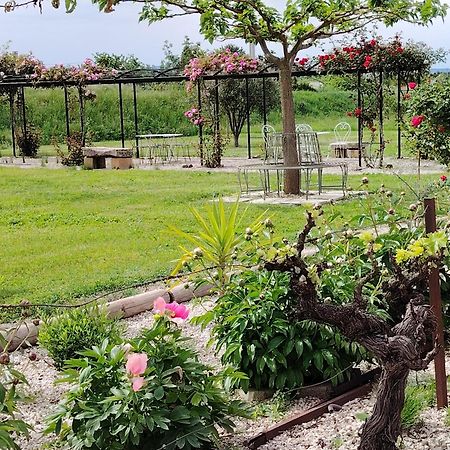 Gite En Provence "Rose" Modene Ngoại thất bức ảnh