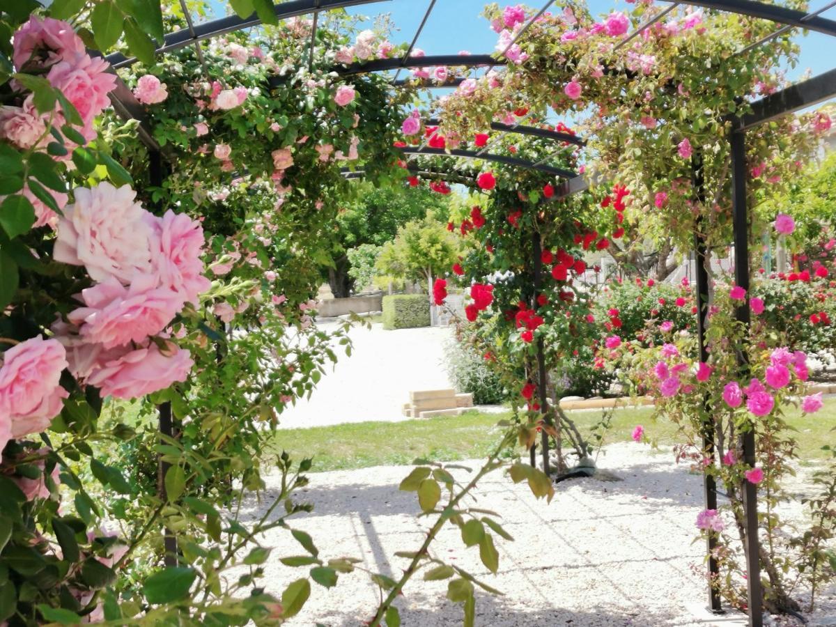 Gite En Provence "Rose" Modene Ngoại thất bức ảnh