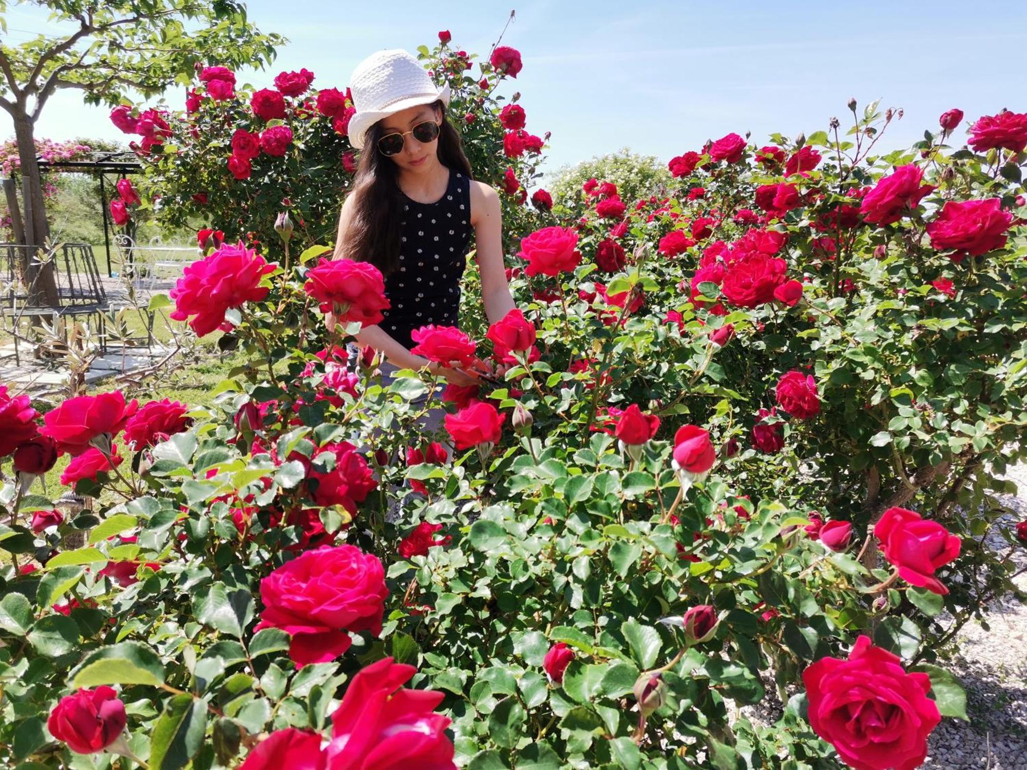 Gite En Provence "Rose" Modene Ngoại thất bức ảnh