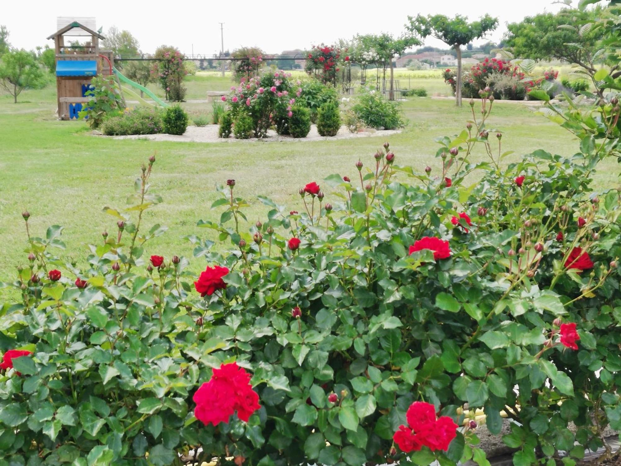 Gite En Provence "Rose" Modene Ngoại thất bức ảnh