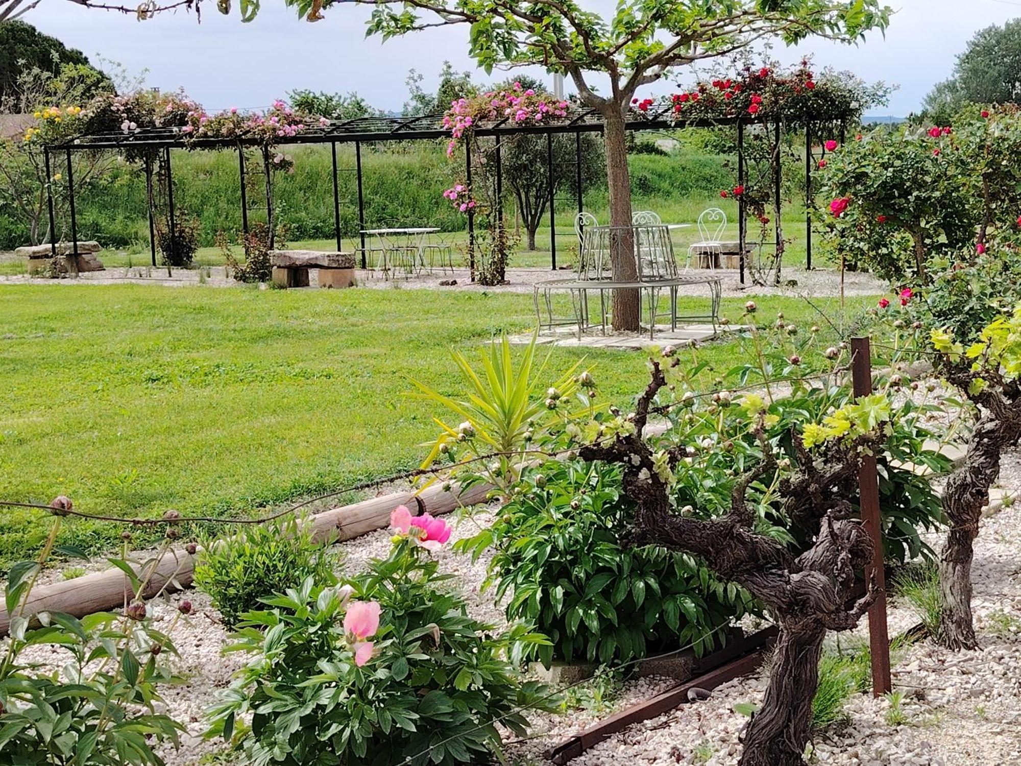 Gite En Provence "Rose" Modene Ngoại thất bức ảnh